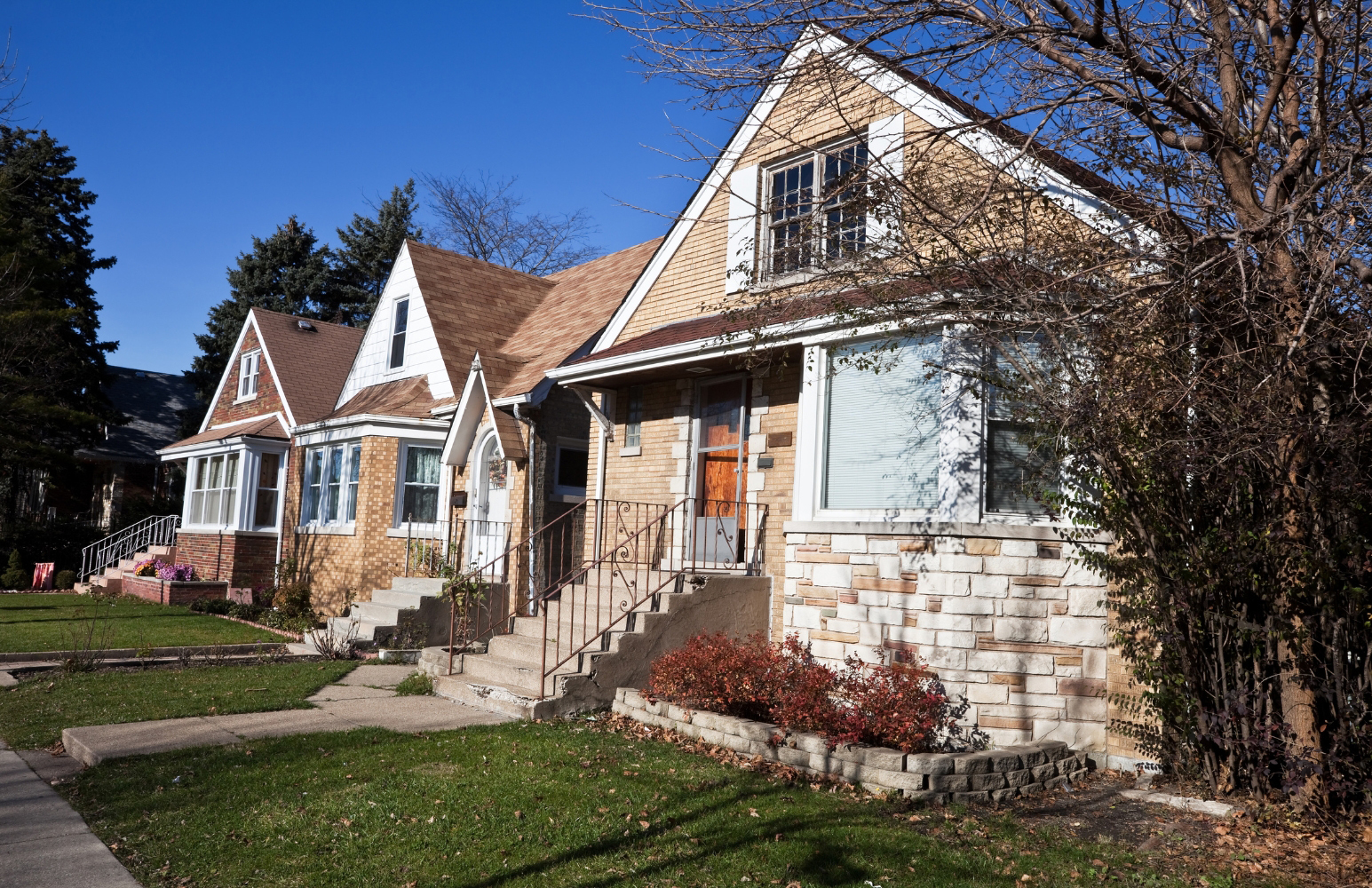 Portage Park lawn